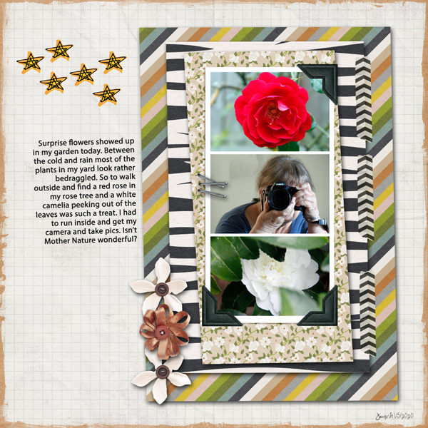 36in36_surpriseflowers