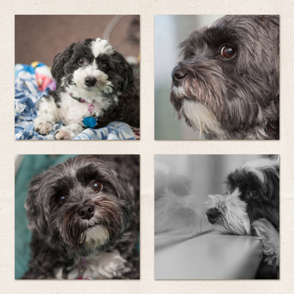 4 photos grid page design
