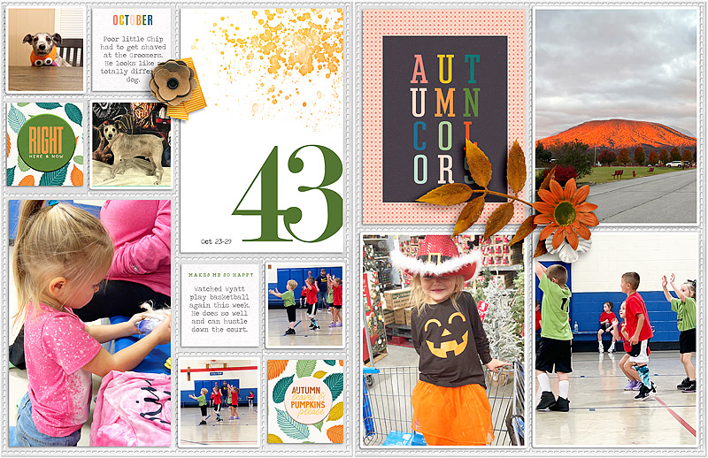 43-full