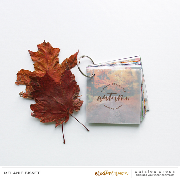 4x4 Autumn Vibes mini-album