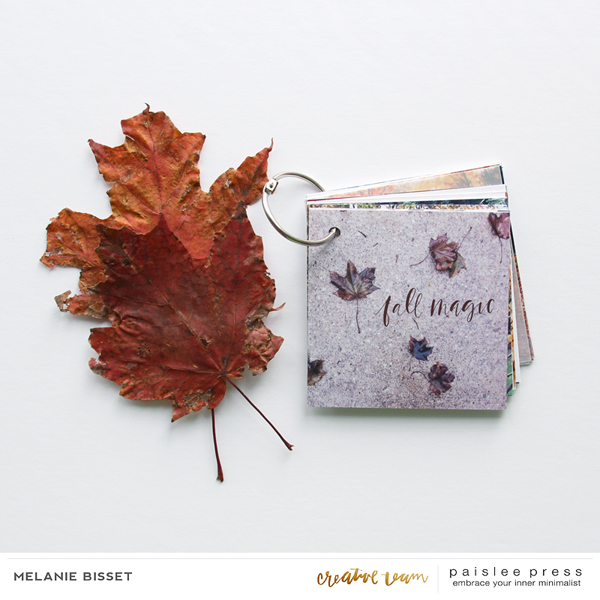 4x4 Autumn Vibes mini-album