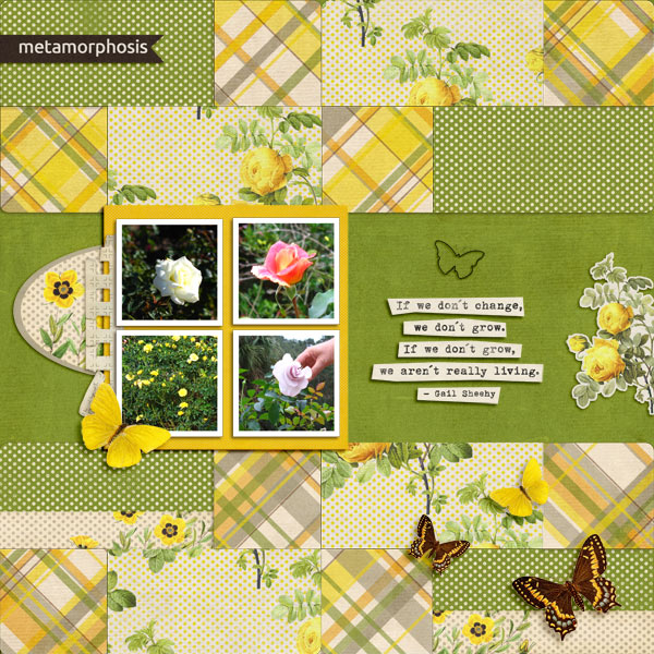 4x6TemplateSet_Builder