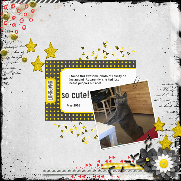 5.25.2016 Slow Scrap