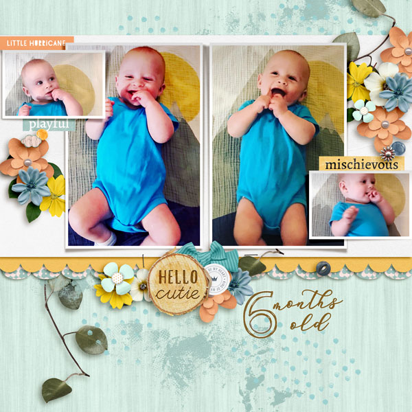 6 Months