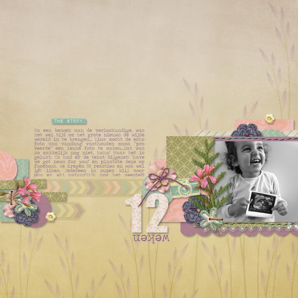 7-12-weken_resize