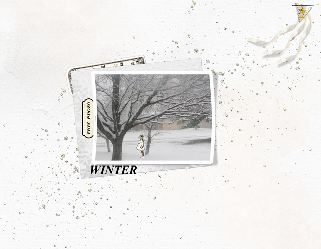 7.-Winter