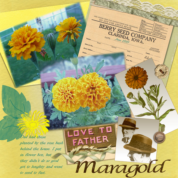 9906marigold