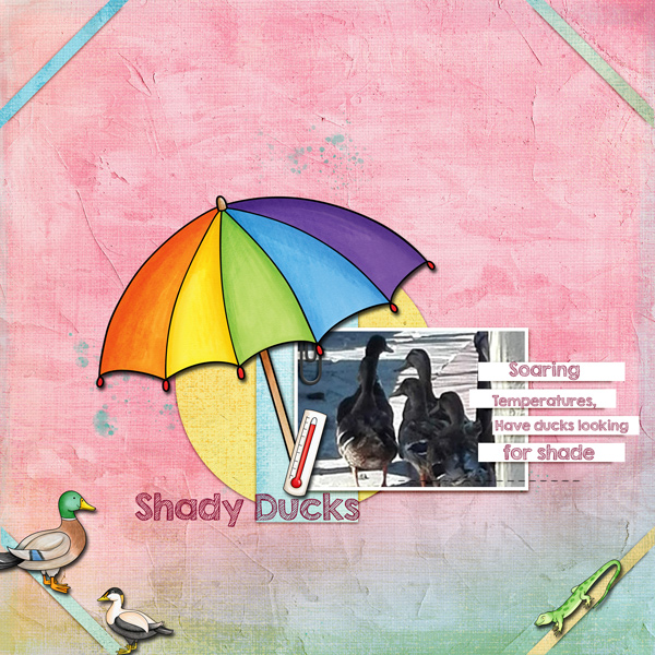 _Aug18-Blog-Temp-shady-duck