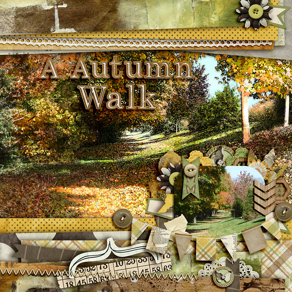 A Autumn Walk