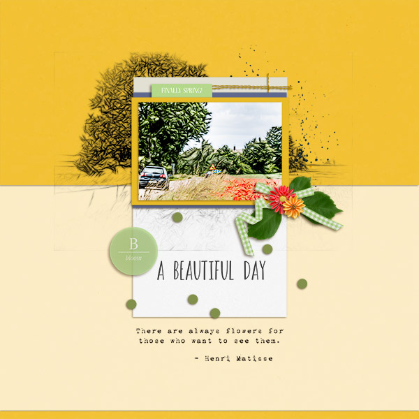 A Beautiful day