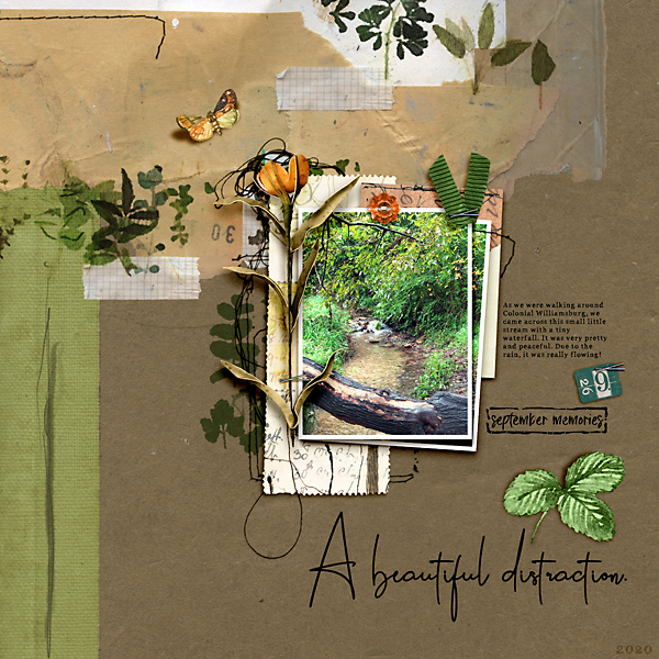 A Beautiful Distraction