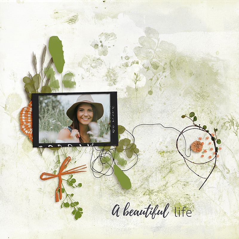 A beautiful Life