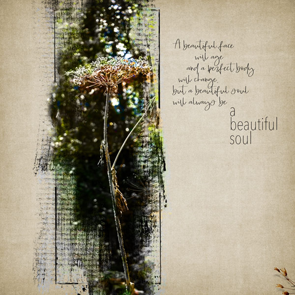 A-Beautiful-Soul