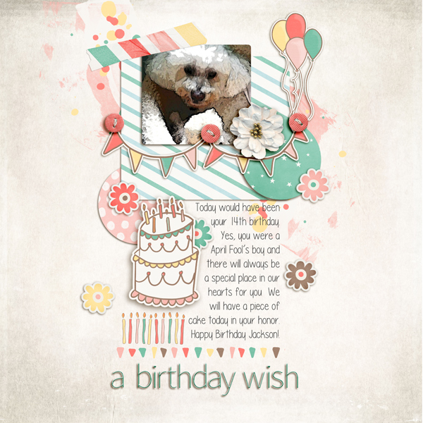 A Birthday Wish
