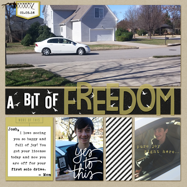 a bit of Freedom- MOC Day 3