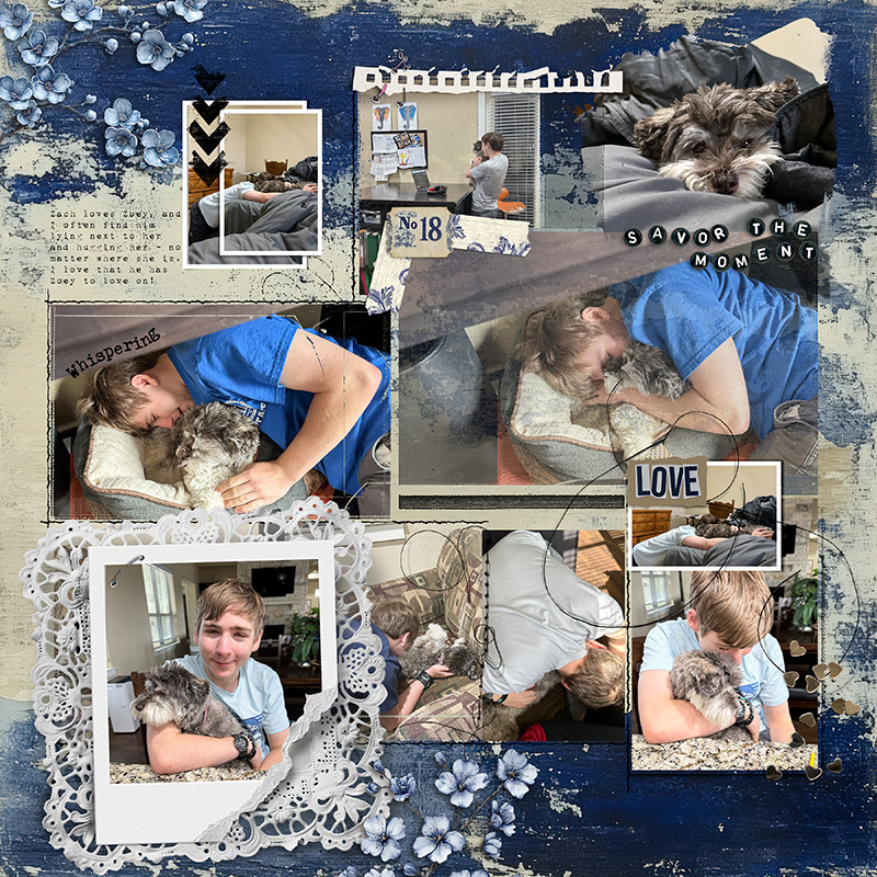 A Boy and His Dog
