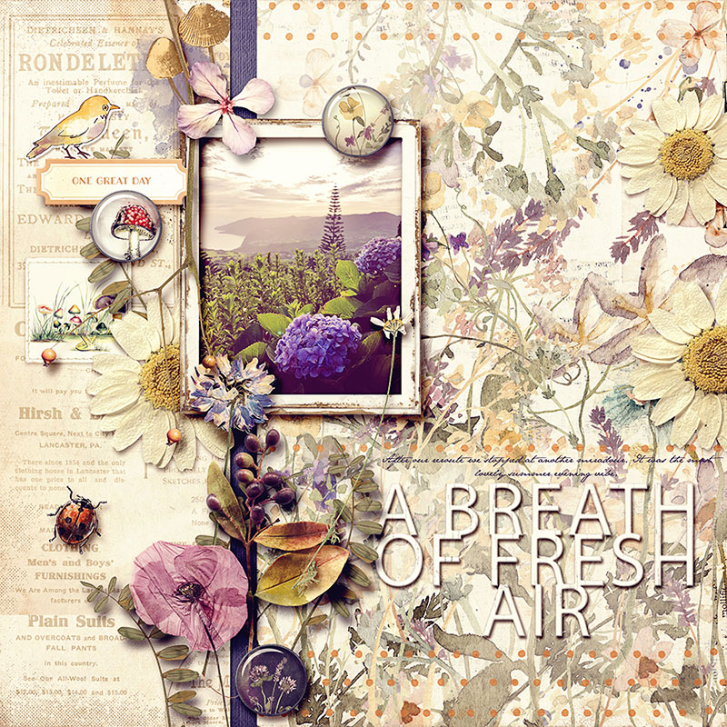 a breath of fresh air