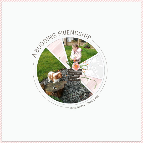A Budding Friendship