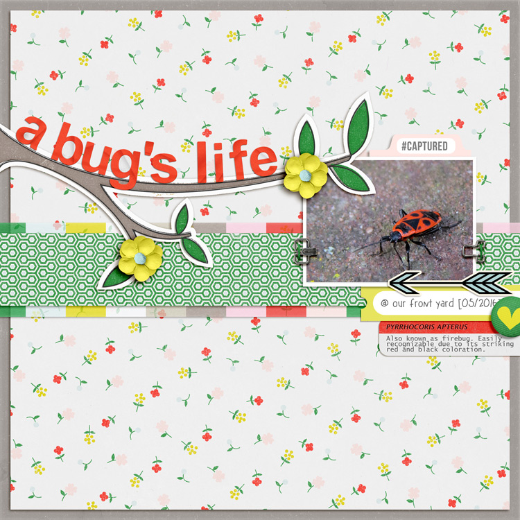 A Bug's Life