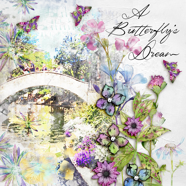 A Butterfly's Dream