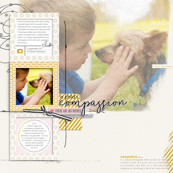 A Child's Compassion