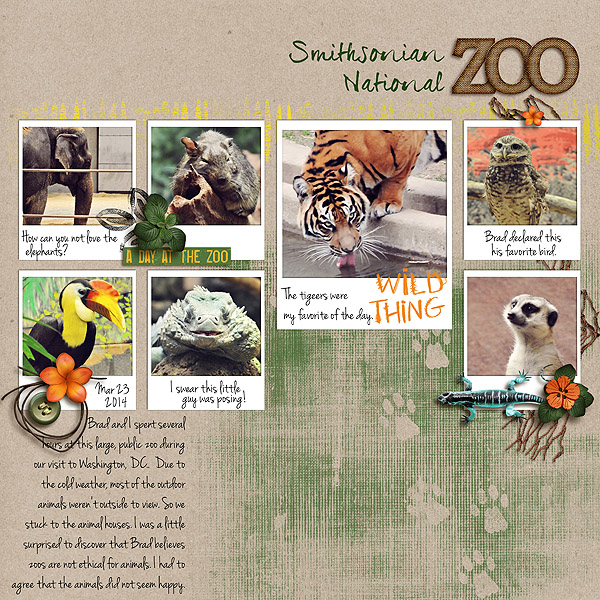 A Day at the Zoo