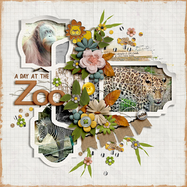 A Day At The Zoo