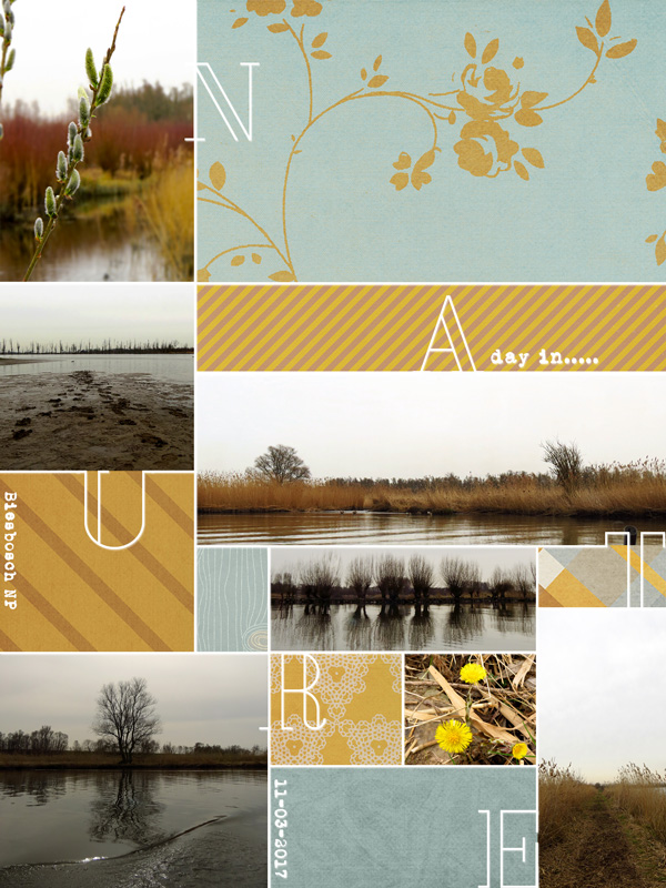 A Day In Biesbosch NP