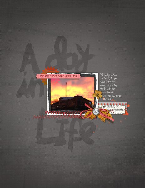 A day in life