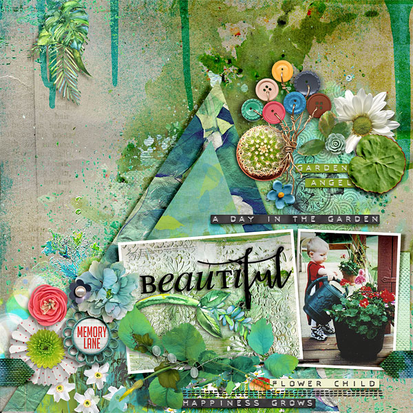 A Day in the Garden