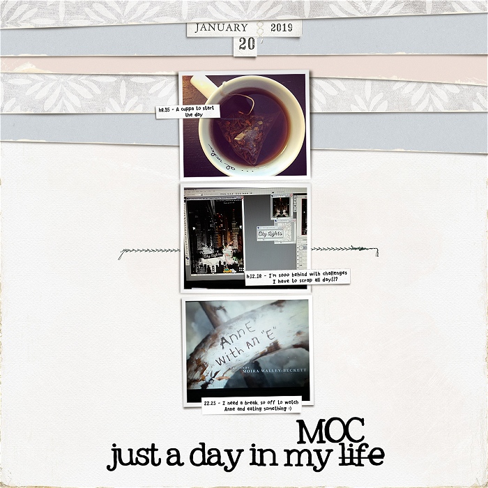 A Day (jan 20) In My MOC