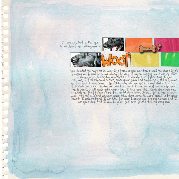 A Dogs Letter