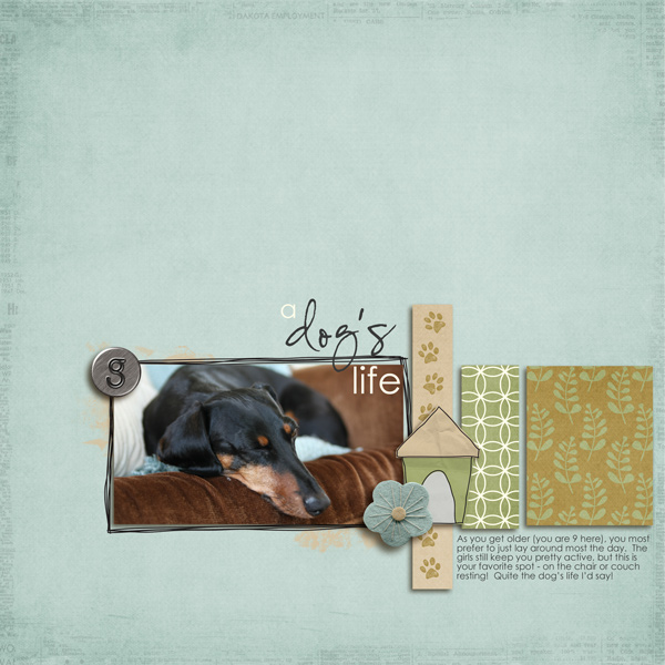 A Dog's Life