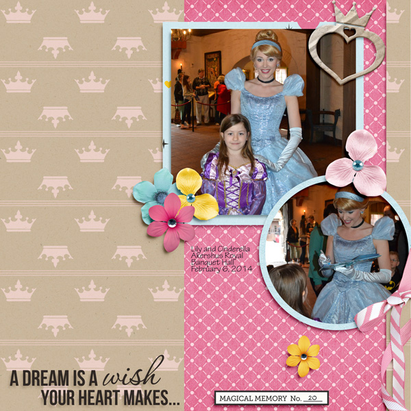 A Dream Is A Wish Your Heart Makes