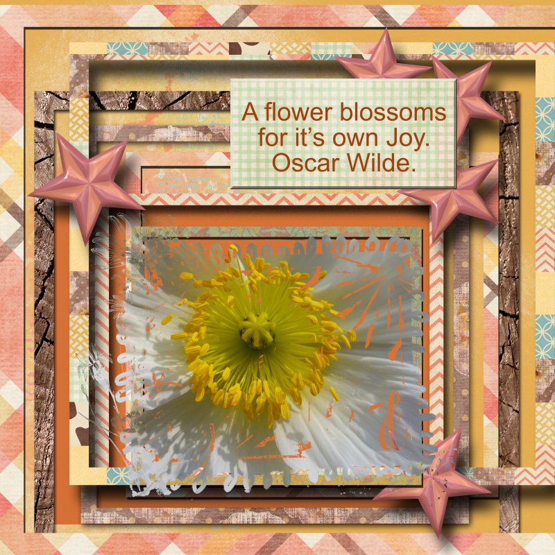 A Flower Blossoms