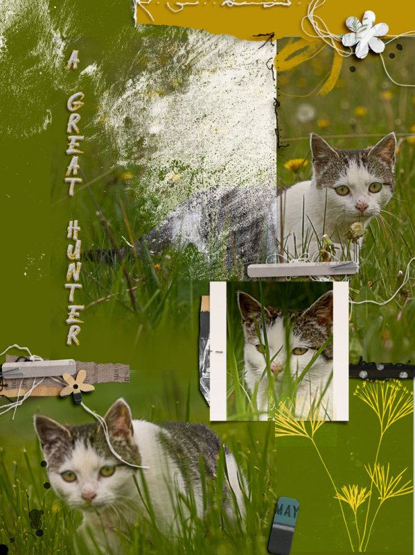 A great Hunter