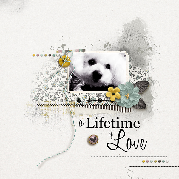 A  Lifetime Of Love