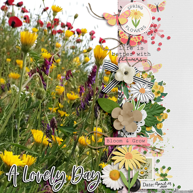 A lovely day