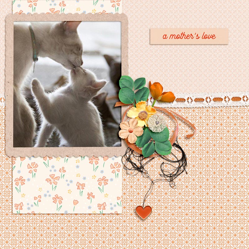 A mother's Love
