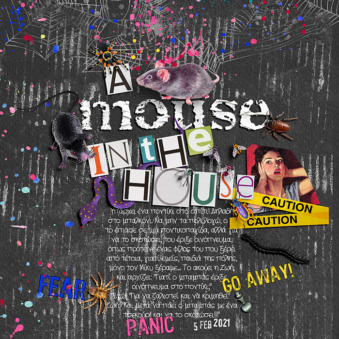 A mouse in the house