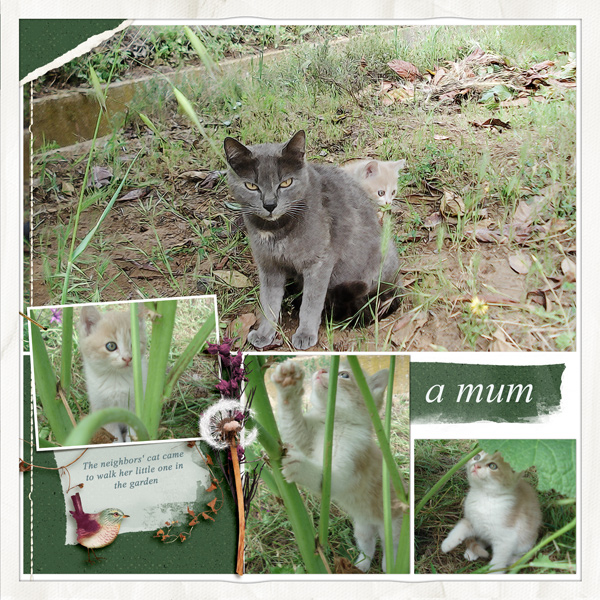 A mum