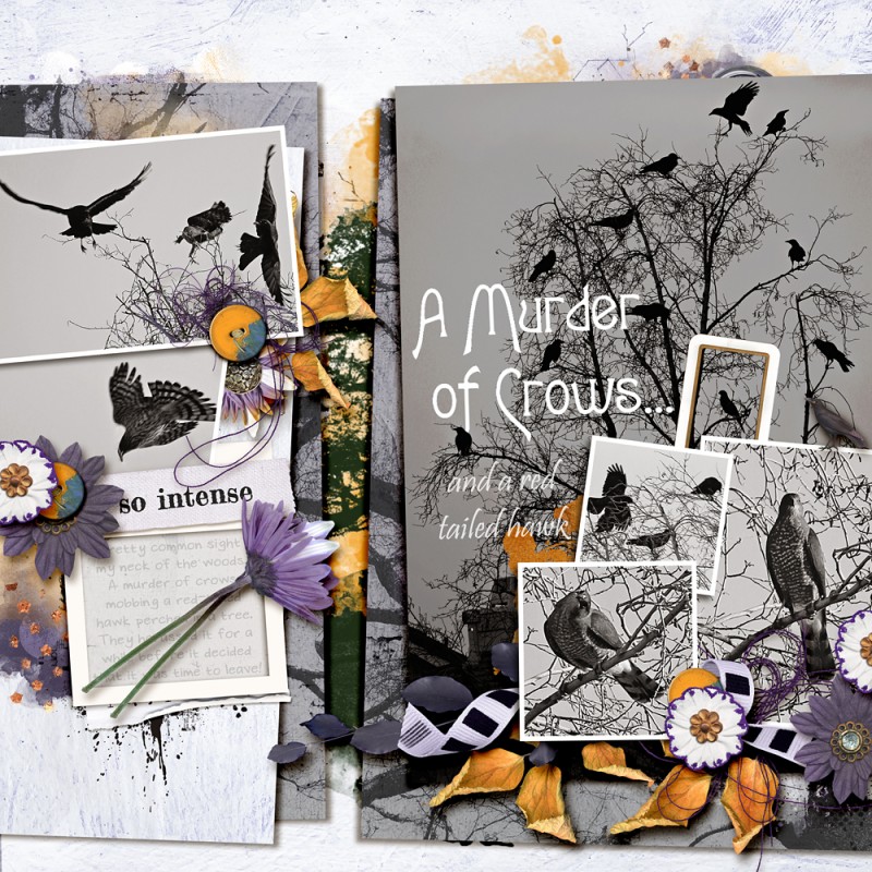 A Murder of Crows...