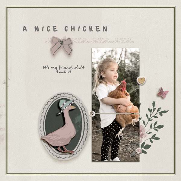 A Nice Chicken