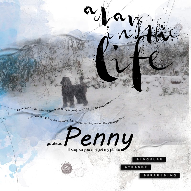 A Penny Pic