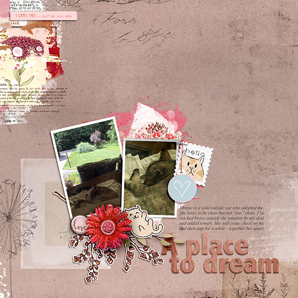 A Place To Dream