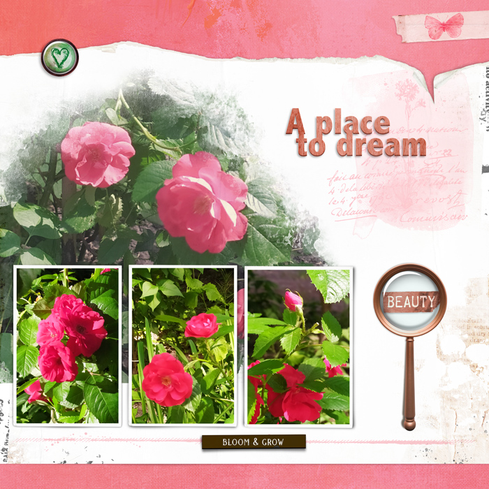 A place to dream