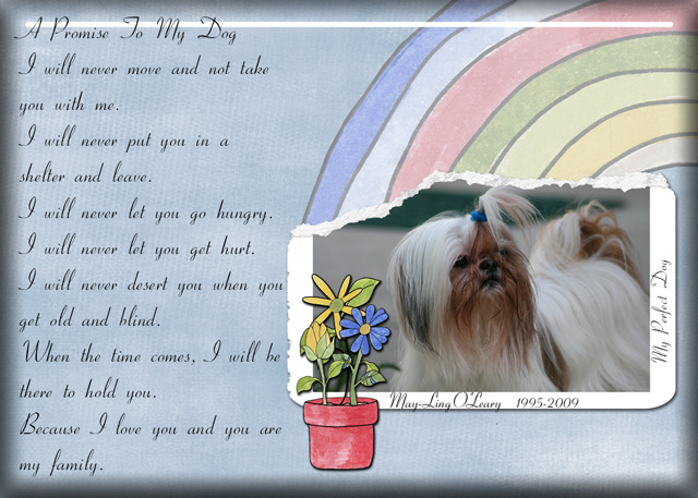 A-Promise-To-My-Dog
