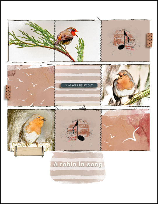 A Robin in Song