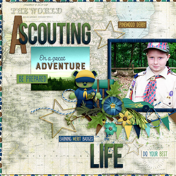 A Scouting Life
