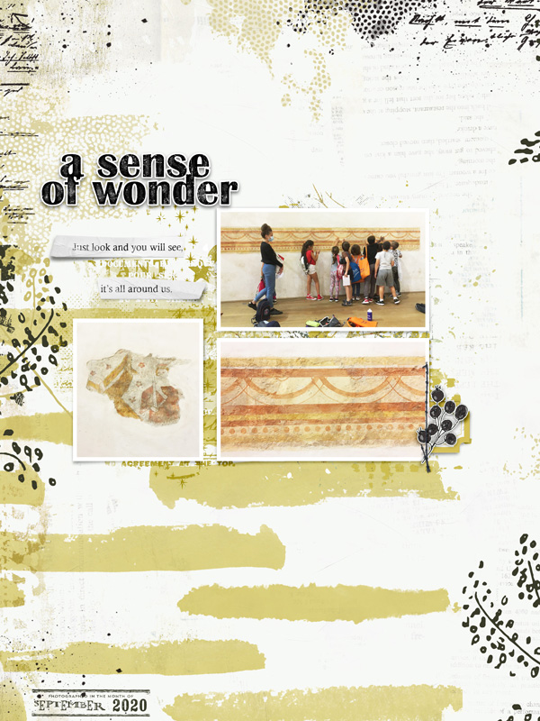 A sense of wonder